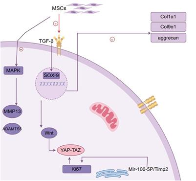 Edge advances in nanodrug therapies for osteoarthritis treatment